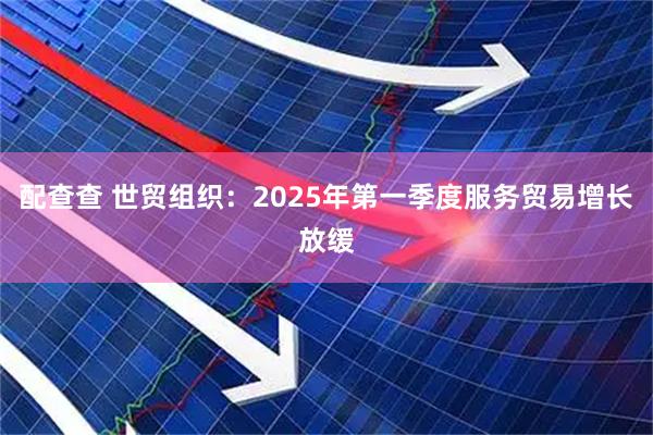 配查查 世贸组织：2025年第一季度服务贸易增长放缓