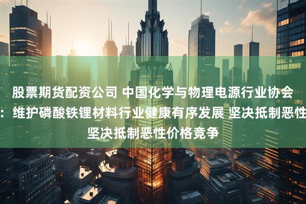 股票期货配资公司 中国化学与物理电源行业协会发布倡议：维护磷酸铁锂材料行业健康有序发展 坚决抵制恶性价格竞争