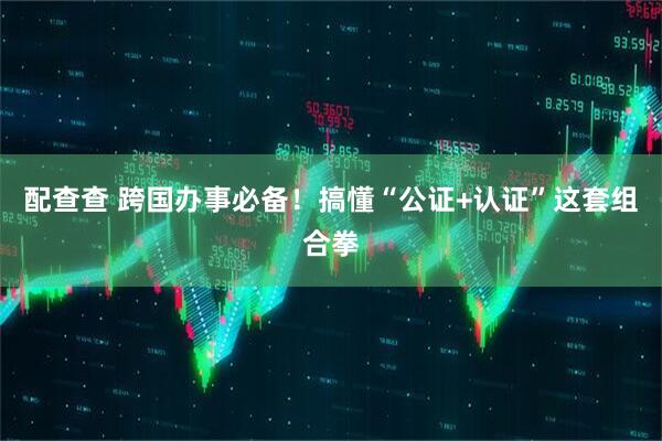 配查查 跨国办事必备！搞懂“公证+认证”这套组合拳