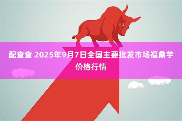配查查 2025年9月7日全国主要批发市场福鼎芋价格行情