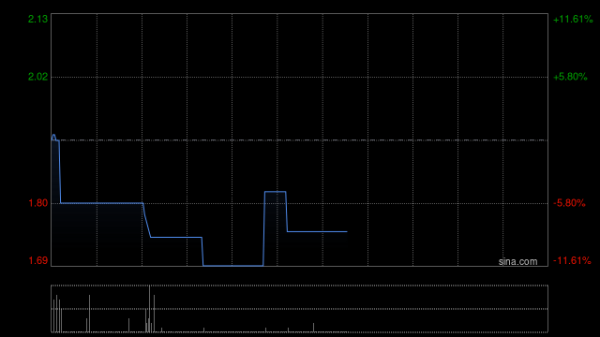 配查查 中国信息科技：供股获有效接纳约55.09%