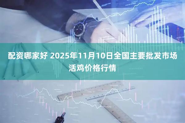 配资哪家好 2025年11月10日全国主要批发市场活鸡价格行情